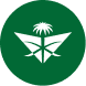 Saleh Alraegi